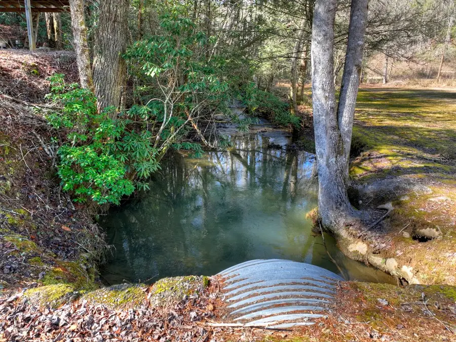 7233 Shakerag Road, Ellijay, GA 30540 - #2