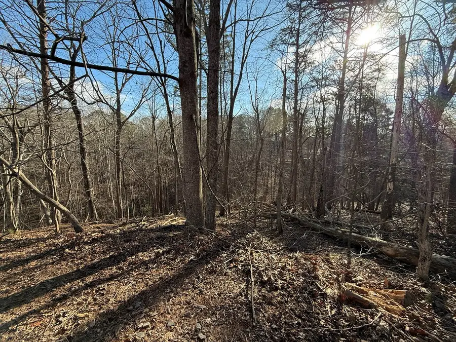 715/716 Hilary Court, Ellijay, GA 30540 - #2