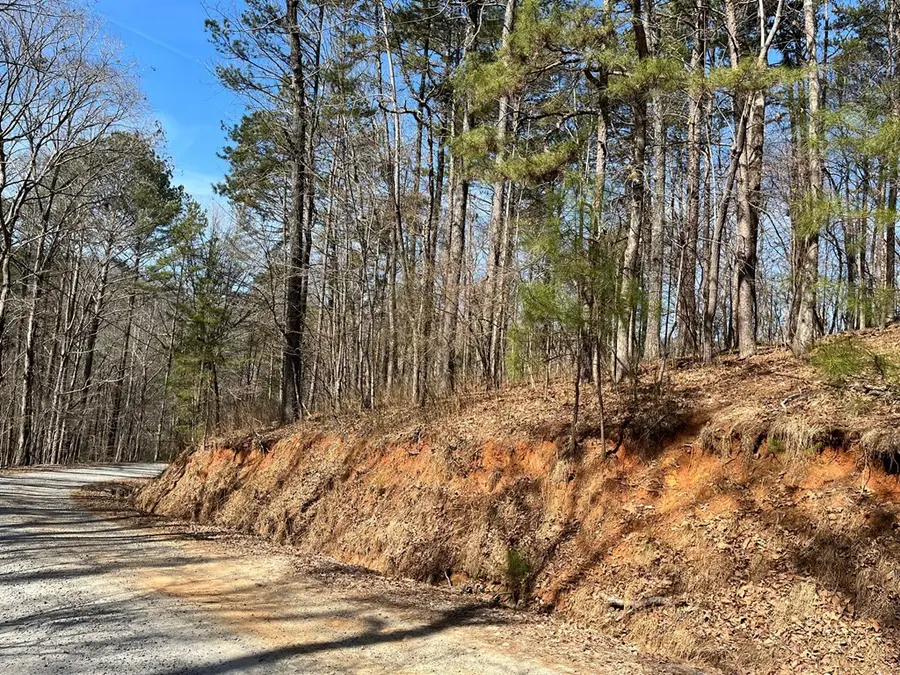 630 Armor Way, Ellijay, GA 30540 - #2