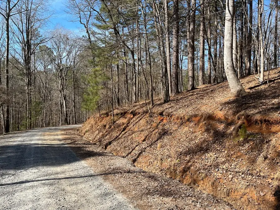 630 Armor Way, Ellijay, GA 30540 - #3