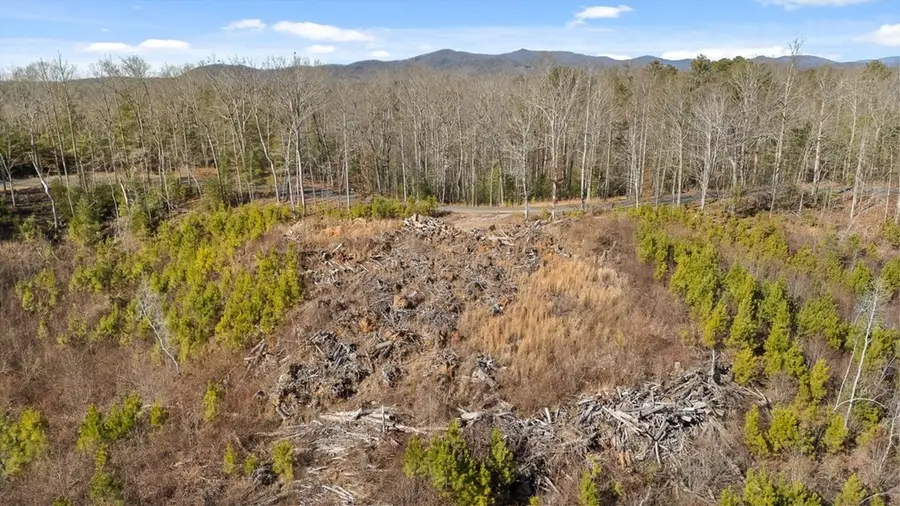 1776 Hap Holt Road, Ellijay, GA 30540 - #2