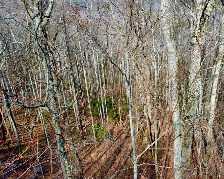 120 Croft Mountain Road, Blairsville, GA 30512 - #3