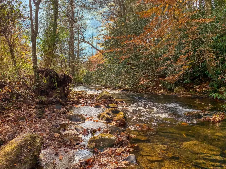 77 Watersong Trail, Ellijay, GA 30540 - #3