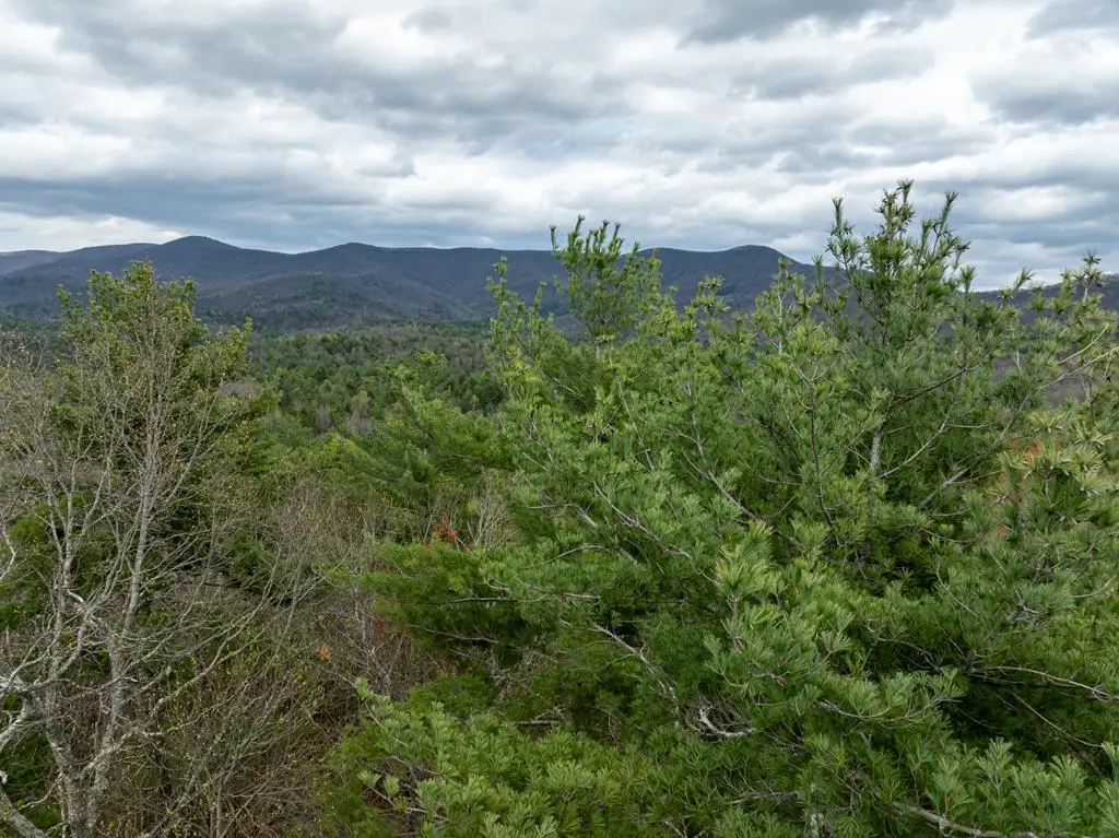 LOT A-D Harpers Creek Road, Ellijay, GA 30540 - #1