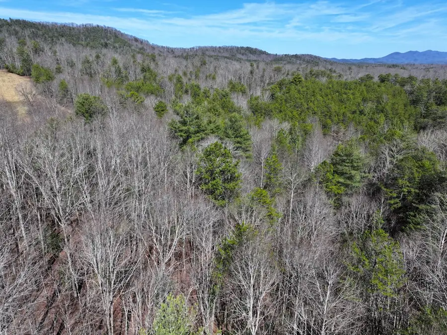 0 Meredith Drive, Turtletown, TN 37391 - #2