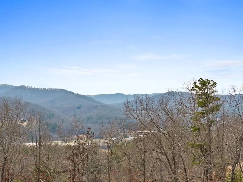 LOT 162 Ridges Of Blue Ridge, Morganton, GA 30560 - #1