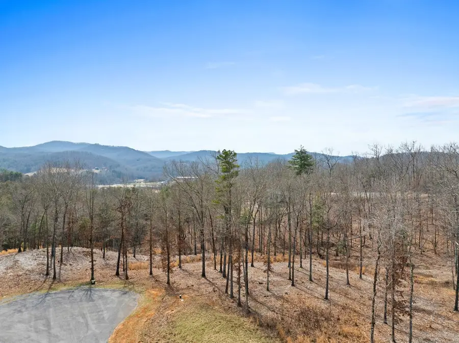 LOT 162 Ridges Of Blue Ridge, Morganton, GA 30560 - #2