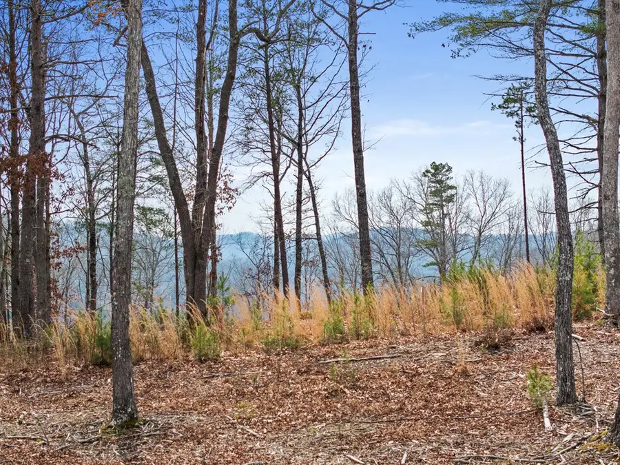 LOT 162 Ridges Of Blue Ridge, Morganton, GA 30560 - #3