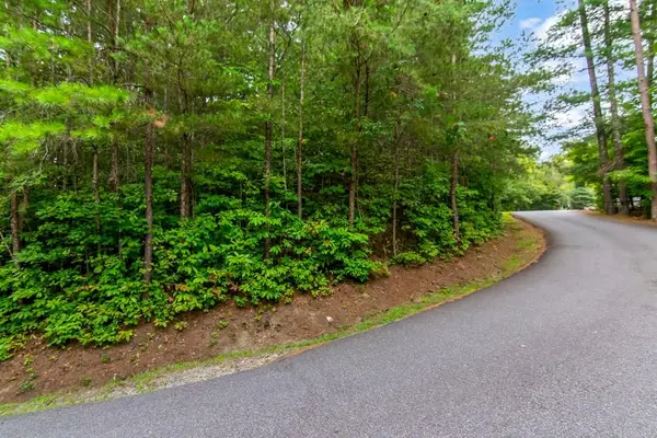 Lot 9 Laurel Creek Trail, Blue Ridge, GA 30513