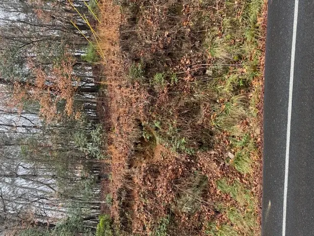 Lot 171 Beaver Lake Drive, Ellijay, GA 30540 - #3