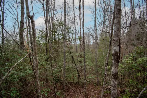 Lot 6 Posey Place, Murphy, NC 28906