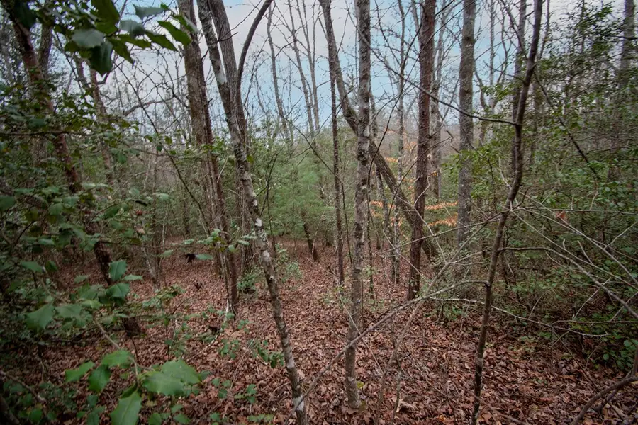 Lot 6 Posey Place, Murphy, NC 28906 - #3