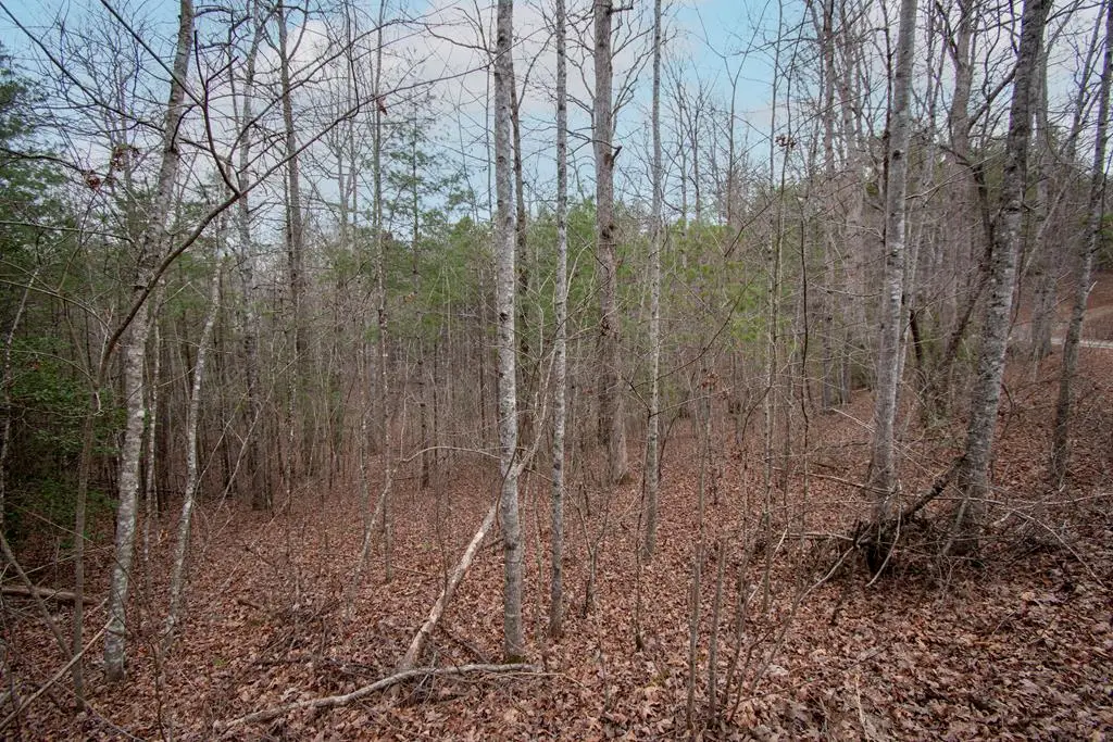 Lot 38 Posey Place, Murphy, NC 28906 - #1