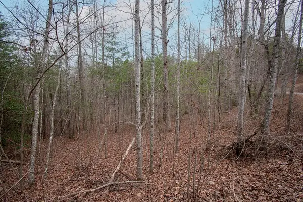 Lot 38 Posey Place, Murphy, NC 28906