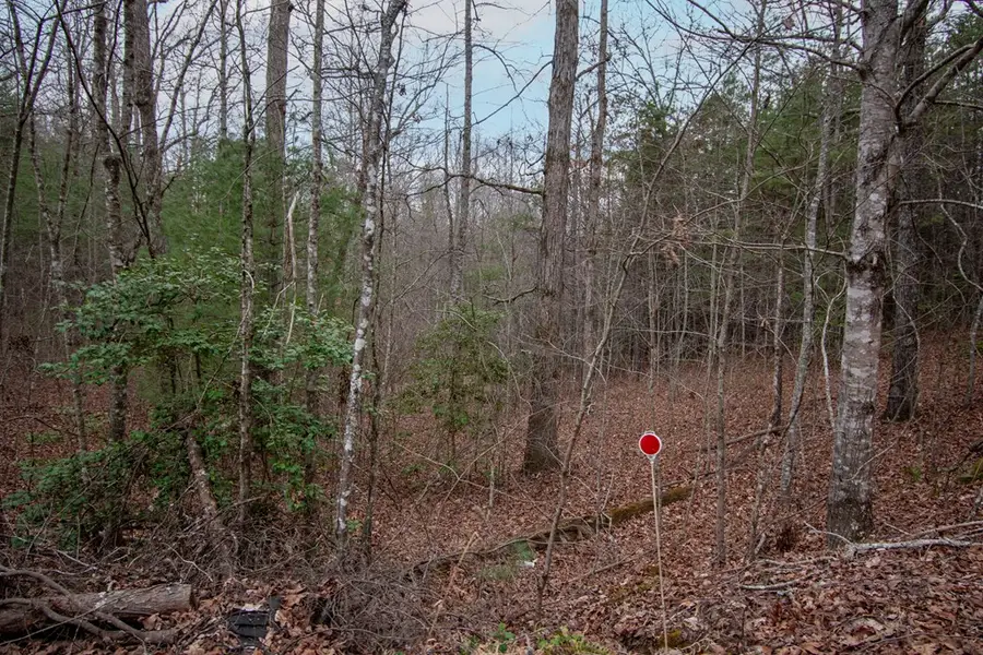 Lot 38 Posey Place, Murphy, NC 28906 - #3