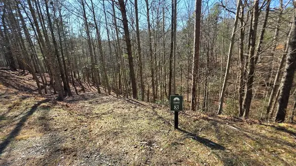 83R Cedar Road, Ellijay, GA 30540