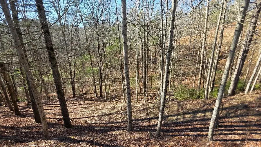 83R Cedar Road, Ellijay, GA 30540 - #2