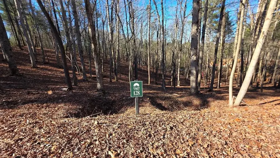 128R Red Oak Trail, Ellijay, GA 30540 - #2