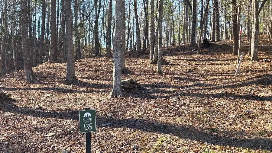 135 Red Oak Trail, Ellijay, GA 30540 - #2