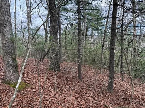 Lot 13 Frances Drive, Ellijay, GA 30536