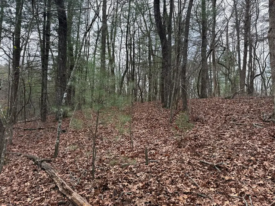 Lot 13 Frances Drive, Ellijay, GA 30536 - #3