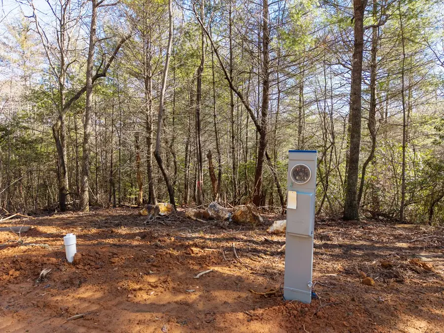 112 Big Pine Hill, Blairsville, GA 30512 - #3