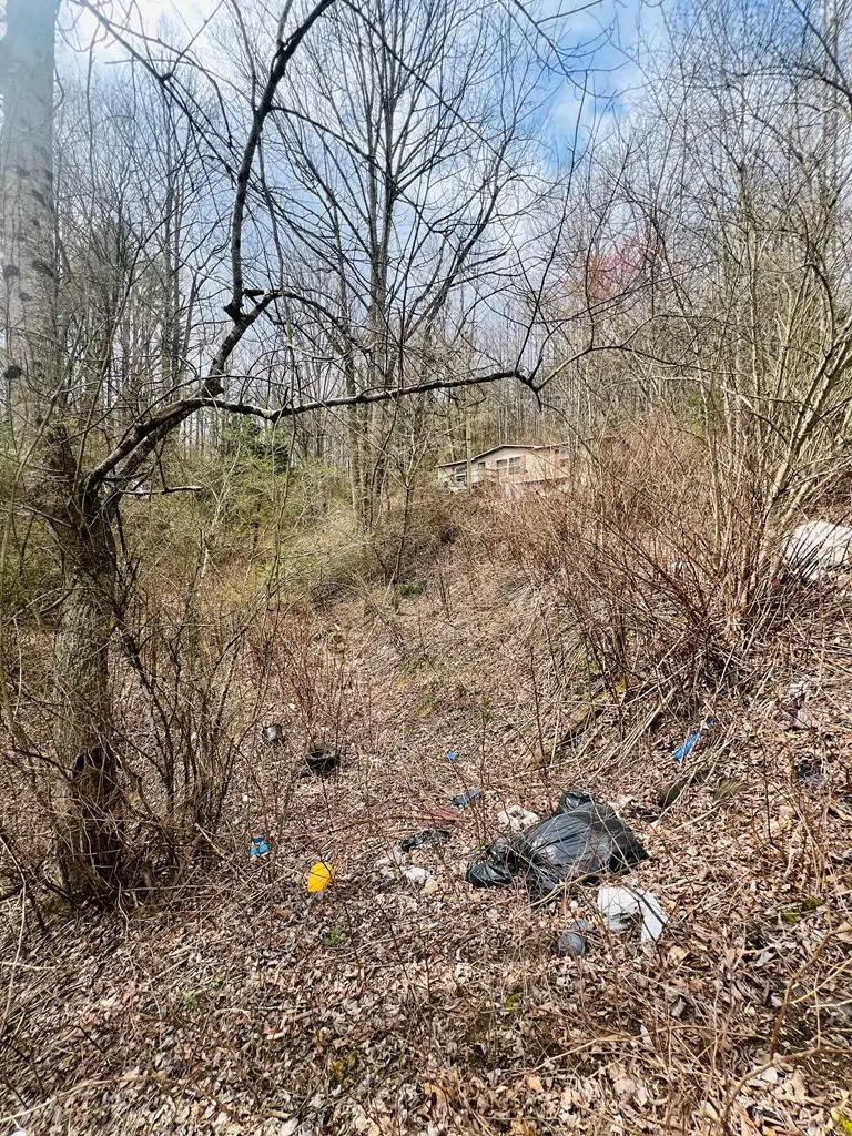 1659 Joe Brown Hwy, Murphy, NC 28906 - #2