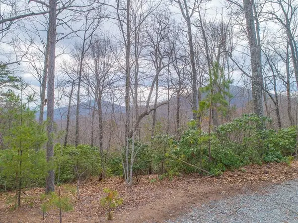Lot 33 Laurel Brooke S/d, Blairsville, GA 30512