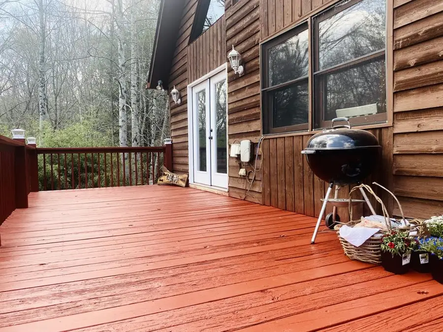 302 Rivercane Road, Brasstown, NC 28902 - #2