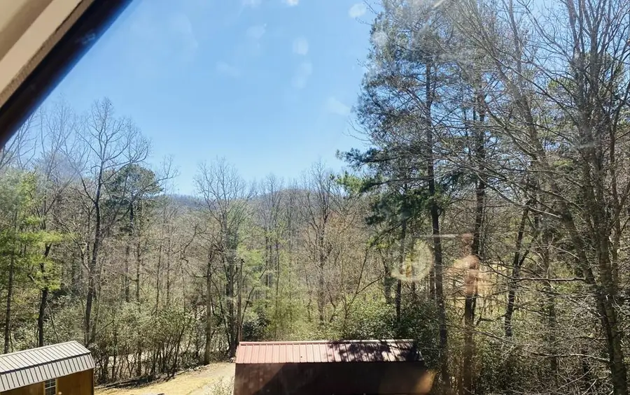 302 Rivercane Road, Brasstown, NC 28902 - #3