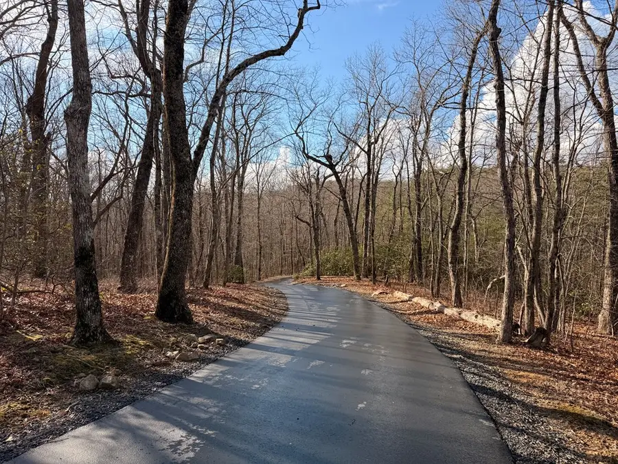 1950 Saint Andrews Way, Ellijay, GA 30536 - #3