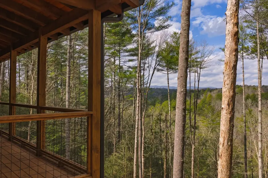 121 Indian Lane, Ellijay, GA 30540 - #2