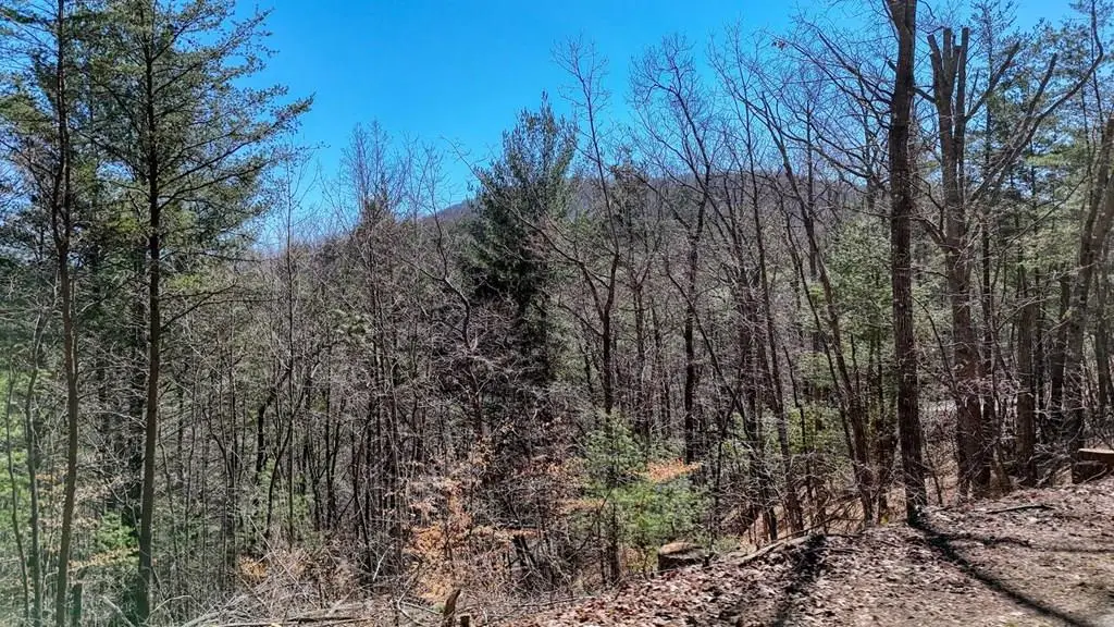 Lot 10 Firefly Ridge Road, Blairsville, GA 30512 - #1