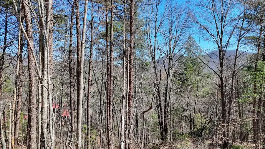 Lot 10 Firefly Ridge Road, Blairsville, GA 30512 - #3