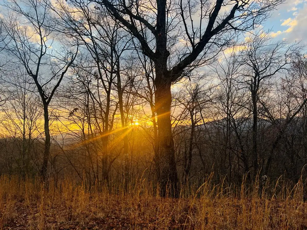 00 Aster Trail, Marble, NC 28905 - #1