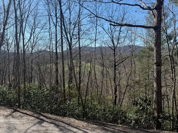 Lot 3 Willow Ridge, Warne, NC 28909