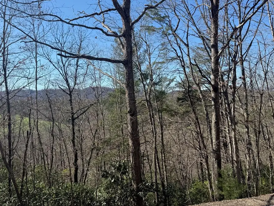 Lot 3 Willow Ridge, Warne, NC 28909 - #3