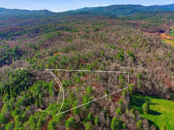 Lot 24 Pickett Mill Lane, Ellijay, GA 30540