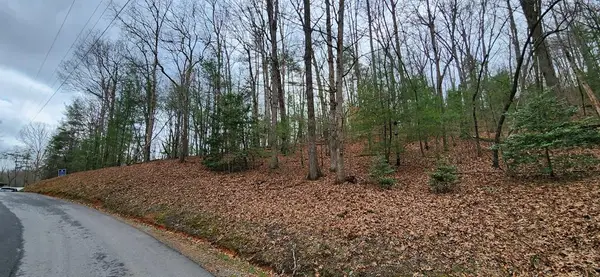 Lot 13 Mangums Trail, Blue Ridge, GA 30513