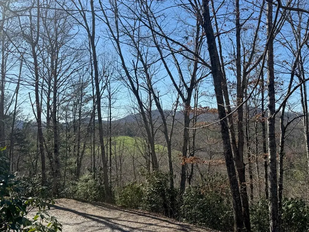 Lot 4 Willow Ridge, Warne, NC 28909 - #1