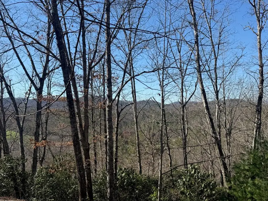 Lot 4 Willow Ridge, Warne, NC 28909 - #3