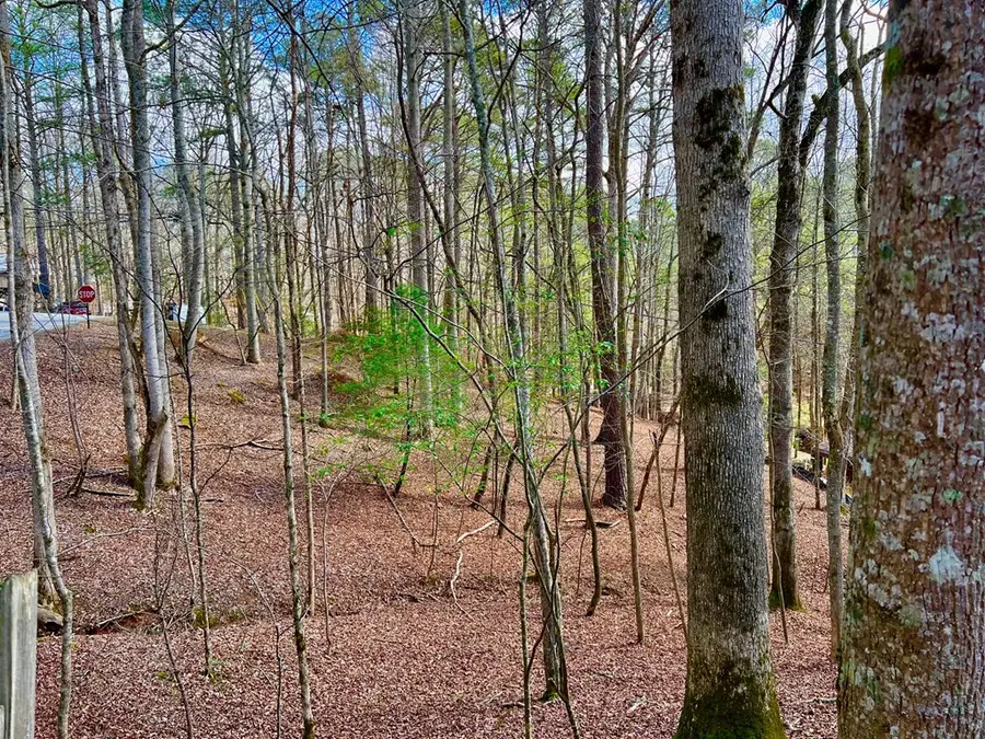 985 Ogden Drive, Ellijay, GA 30540 - #2