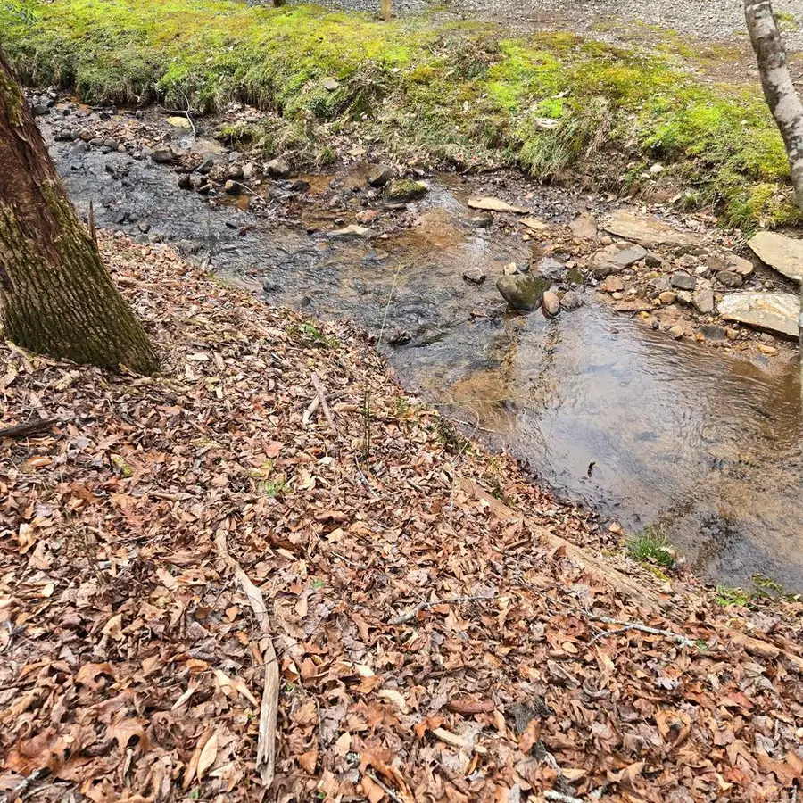 8.5 Blue Berry Ridge, Morganton, GA 30560 - #3