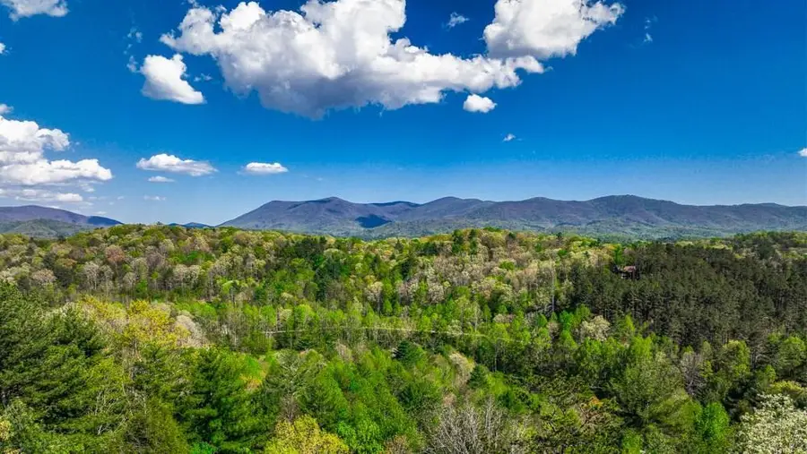 43 Dustin Drive S, Ellijay, GA 30540 - #3