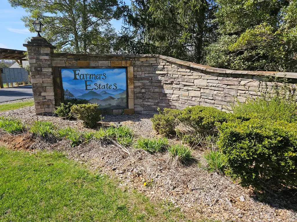 LOT 39 Farmers Circle, Mineral Bluff, GA 30559 - #1