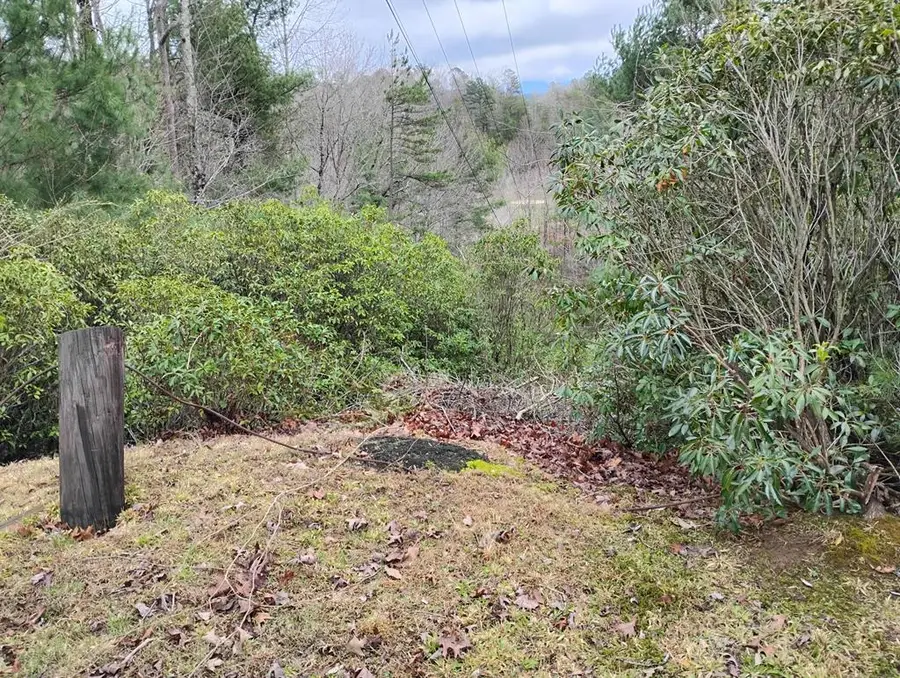 Lt 166 Shenendoa Dr., Ellijay, GA 30540 - #2