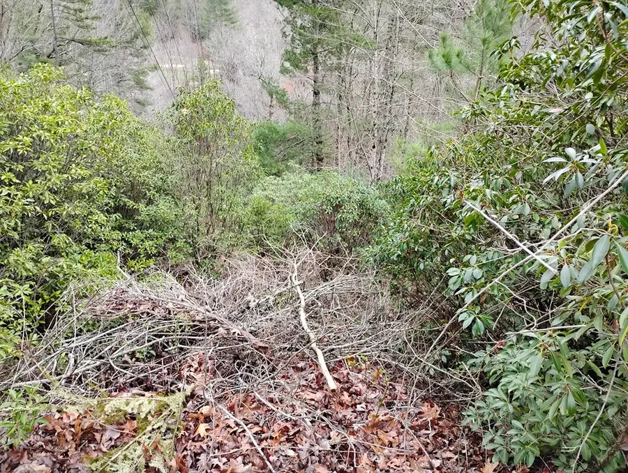 Lt 166 Shenendoa Dr., Ellijay, GA 30540 - #3