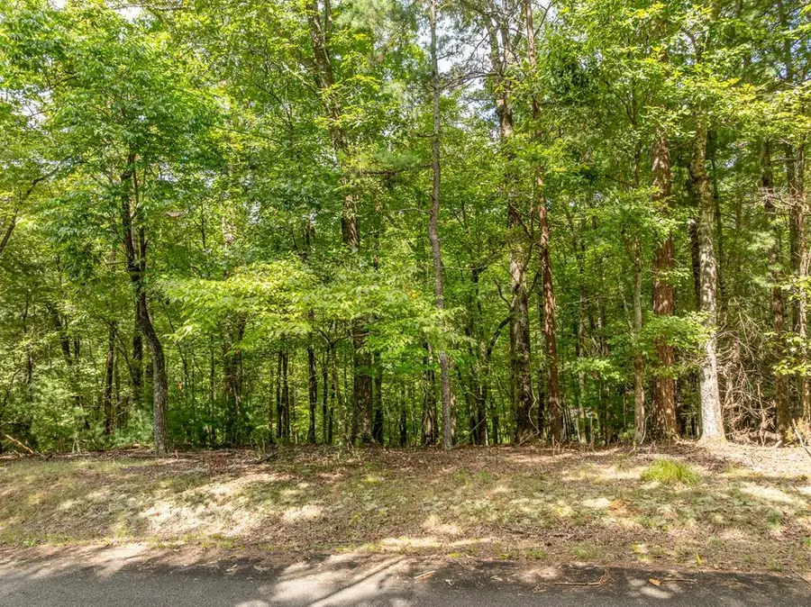 Lot 272 Seneca Drive, Ellijay, GA 30540 - #2