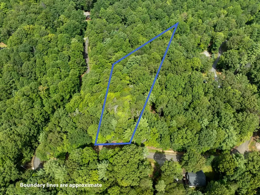 Lot 272 Seneca Drive, Ellijay, GA 30540 - #3