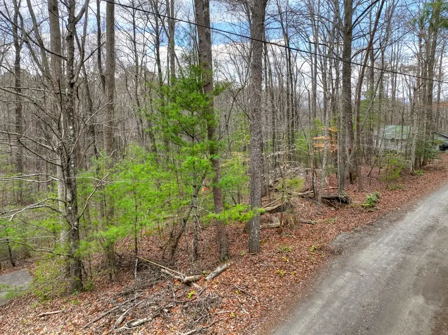 0 Ridge View Court, Ellijay, GA 30536 - #3